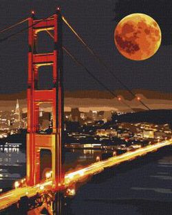 3589