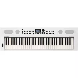 купить Цифровое пианино Roland GOKEYS5-WH в Кишинёве 