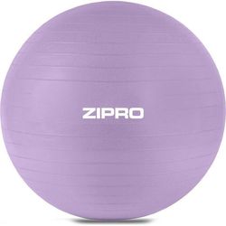 купить Мяч Zipro Gym ball Anti-Burst 65cm Violet в Кишинёве 