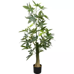 купить Декор Deco Arbore Pachira Glabra в Кишинёве 