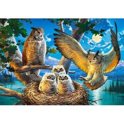 купить Головоломка Castorland Puzzle B-53322 Puzzle 500 elemente в Кишинёве 