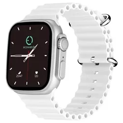 купить Фитнес-трекер Max Com Ecowatch 2, Silver в Кишинёве 