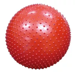 cumpără Minge sport YXE120906 Minge de gimnastică (Fitball) 55 cm în Chișinău 