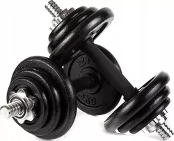 cumpără Ganteră Zipro Iron Dumbbell Set 2x10kg în Chișinău 