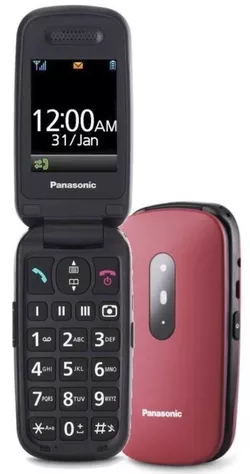 купить Телефон мобильный Panasonic KX-TU446EXR в Кишинёве 