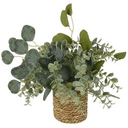 cumpără Plantă artificială Promstore 49445 Planta artificiala de eucalipt 30cm, in ghiveci în Chișinău 