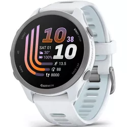 cumpără Ceas inteligent Garmin Forerunner 170 Music, GPS, WiFi, Whitestone/Cloud Blue, WW (010-03920-11) în Chișinău 