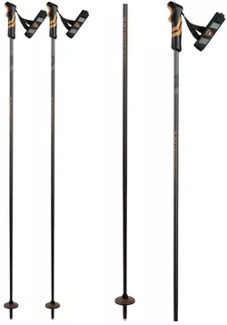 cumpără Bețe de schi Rossignol Tactic Carbon Clip Copper 125 (RDN2000) în Chișinău 