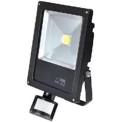 cumpără Reflector Elmos LED-E018 50 W în Chișinău 