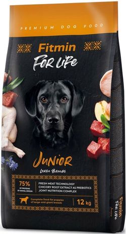 cumpără Hrană pentru animale de companie Fitmin Dog For Life jun. large br. 12kg în Chișinău 