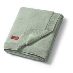 cumpără Lenjerie de pat pentru copii BabyOno 1671/04 Patura de bumbac cu captuseala de flanel (verde) în Chișinău 