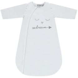 cumpără Haine pentru copii Premaman 0PTU3G\101 Sac de dormit cu maneci detasabile TOG 2.5 Dream în Chișinău 