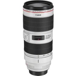 cumpără Obiectiv Canon EF 70-200 mm f/2.8L IS III USM (3044C005) în Chișinău 