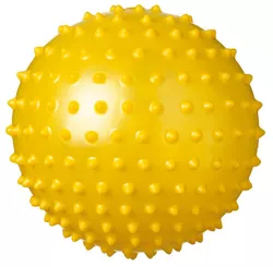 купить Аксессуар для бассейна Beco 8726 Minge AquaBall d=18 cm 96682 в Кишинёве 
