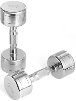cumpără Ganteră LiveUp 49386 Gantere Chrome Dumbbell 5.0kg, MDPO2017/05/SR în Chișinău 