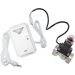 купить Датчик дыма и газа miscellaneous Detector de gaze cu clapeta 3/4 PNI 200 в Кишинёве 
