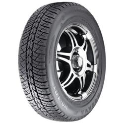 cumpără Anvelopă Rosava 155/70 R13 75T WQ-101 în Chișinău 