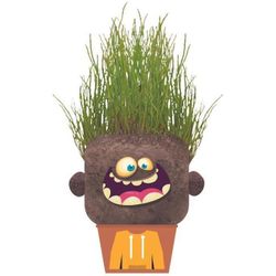 cumpără Set de creație Hape 848098 Experiment științific Hank fericit în Chișinău 