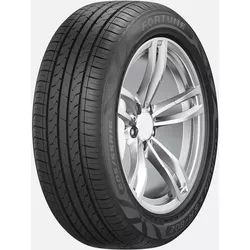 купить Шина Fortune 205/65 R15 94H FSR-802 в Кишинёве 