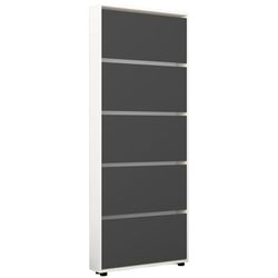 купить Полка для обуви Mobildor-Lux Leo Slim 50x16x203H cm White/Anthracite в Кишинёве 