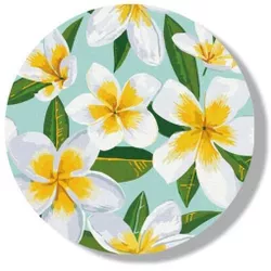 купить Картина по номерам BrushMe RC00046FC (fără cutie) Plumeria в Кишинёве 