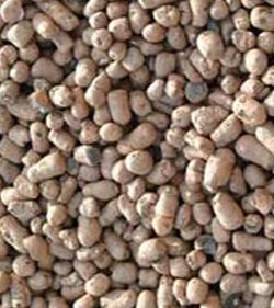 20-40 mm Argilă Expandată (Cheramzită)