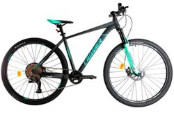 купить Велосипед Crosser 075-C 29" 19 1*12 LTWOO Logan Brake Grey/Green в Кишинёве 