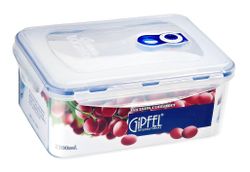 Контейнер GIPFEL GP-4804 (вакуумный)