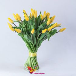 Желтые  голландские тюльпаны поштучно