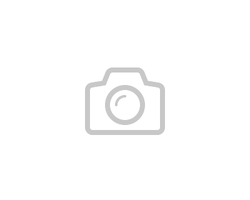 Refr/fr Ozon OZ-312NFWH