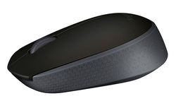 Wireless Mouse Logitech M171, Optical, 3 buttons, Ambidextrous, 1xAA, Black