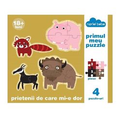 cumpără Puzzle Noriel NOR8399 Prietenii de care mi e dor în Chișinău 