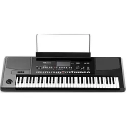 купить Цифровое пианино Korg PA 300 в Кишинёве 