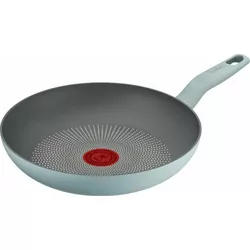 cumpără Tigaie Tefal G0160402 Halo Eucalyptus 24cm în Chișinău 