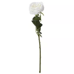 купить Декор Holland 48372 NVT Цветок искусственный Роза 63cm в Кишинёве 