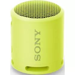cumpără Boxă portativă Bluetooth Sony SRSXB13Y în Chișinău 