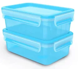 cumpără Container alimentare Tefal N1033845 Set Master Seal Essential 1l 2buc în Chișinău 