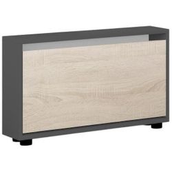 cumpără Raft pentru încălțăminte Mobildor-Lux Leo Slim 100x16x47H cm Anthracite/Sonoma în Chișinău 