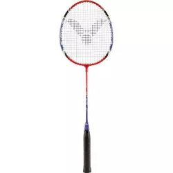 cumpără Echipament sportiv miscellaneous 9454 Paleta badminton Victor 110100 ST-1650 steel în Chișinău 