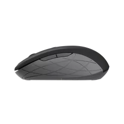 Wireless Mouse Trust Duco Dual Connect, Black