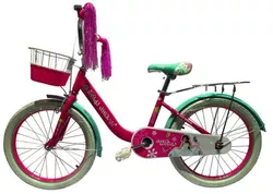купить Велосипед Richi GI-3/2 Bicicleta pentru copii 20" verde в Кишинёве 