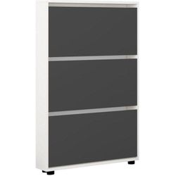 купить Полка для обуви Mobildor-Lux Leo Slim 50x16x125H cm White/Anthracite в Кишинёве 