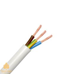 Fir electric PVS 3 x 2.5 mm