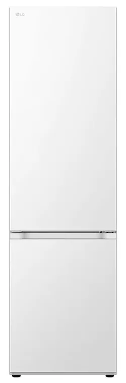 купить Холодильник с нижней морозильной камерой LG GBV3200DSW в Кишинёве 