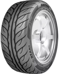 купить Шина Otani 225/45 R17 91W BM2000 в Кишинёве 