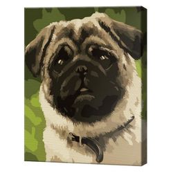 купить Картина по номерам Art Gallery CX3704 20x30cm Mops dragut в Кишинёве 