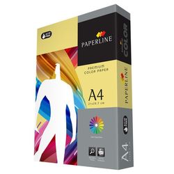 купить Бумага офисная Paperline Hartie colorata A4 160g/250 foi (YELLOW 160_160g) в Кишинёве 