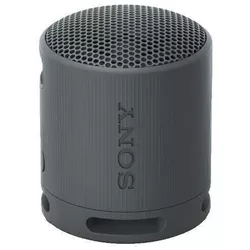 cumpără Boxă portativă Bluetooth Sony SRSXB100B în Chișinău 