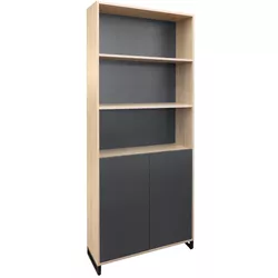 cumpără Dulap de birou Deco Combi 2 usi 900x340x2100h în Chișinău 
