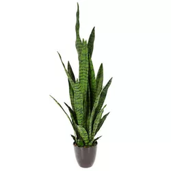 купить Декор Promstore 49465 Planta artificiala Sansevieria 92cm, in ghiveci в Кишинёве 
